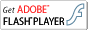 Adobe Flash Player